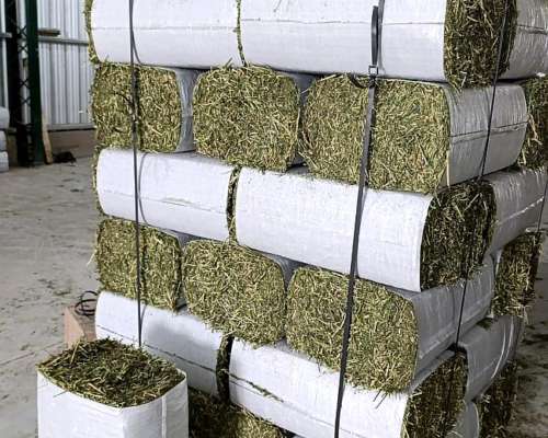 Fardos Compactados de Alfalfa