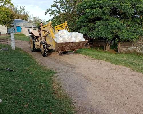 Granja Avícola. 92.000 Pollos Entre Rios
