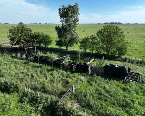 Mercedes, Buenos Aires - 701 Ha