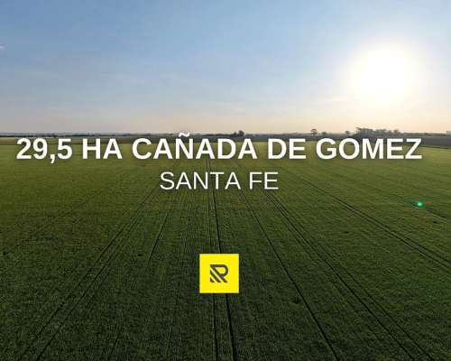 29,5 Ha Cañada de Gomez