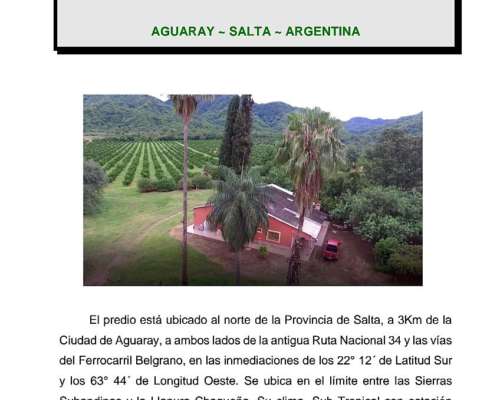 Vendo Campo para Aptas Frutas y Verduras