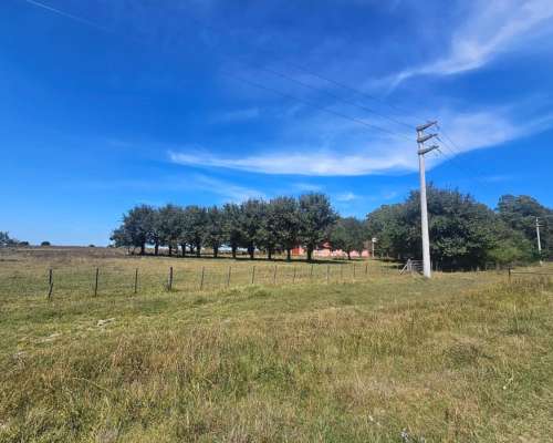 Campo Venta Casalins Pila 268ha