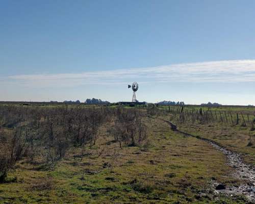 608 HA, Mixto, Azul