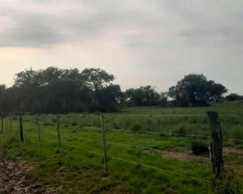 Dueño Vende Campo Gato Colorado Agricola Ganadero