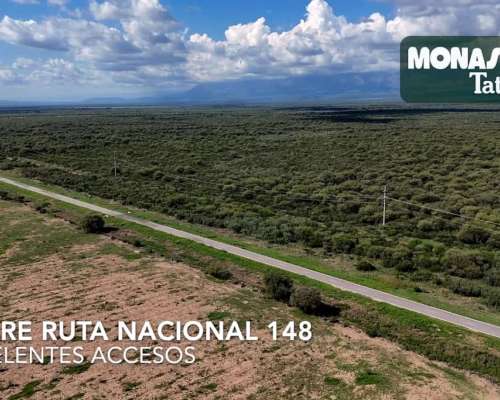 San Javier - 1250has