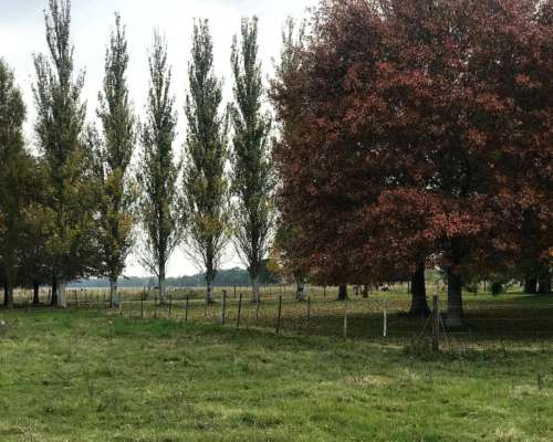 General las Heras, Buenos Aires - 36 Ha