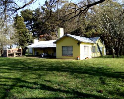 Campo en Venta 230 Has. Mechonge. Gral. Alvarado