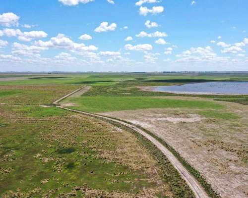 Pcia. de Buenos Aires - Cañada Seca 844 Has