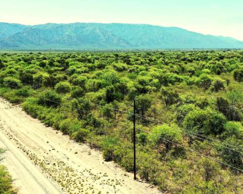 Campo para Cultivo de Olivos, 449ha, Valle Viejo, Catamarca.