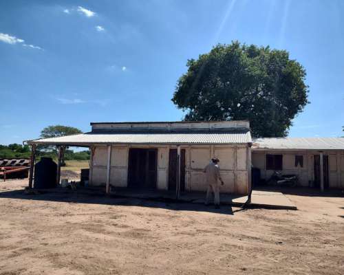 Campo Ganadero en Juan Jose Castelli