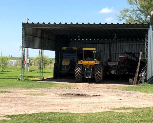 600 Has Mixtas/ganaderas Desarrolladas.