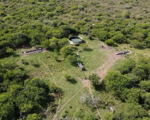 594 Has muy Buen Campo Ganadero en Venta Dpto. Federal