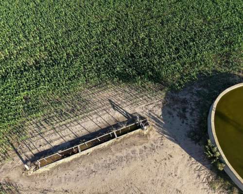 85 Has Agricolas las Rosas (santa FE)