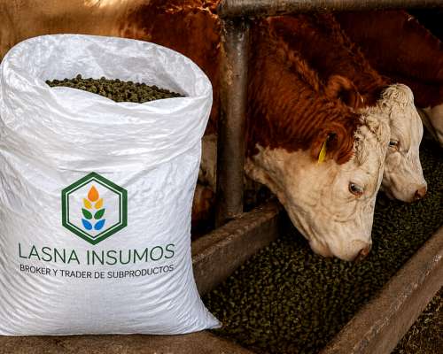 Pellet de Alfalfa en Bolsa - Lasna Insumos - MÍN 28 TN