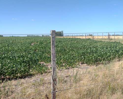 Campo Agricola Ganadero de 35 Hectareas