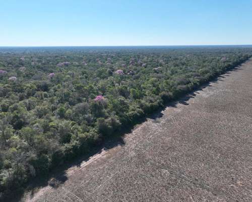 Alto Alegre, Patiño, Formosa - 46.106 Ha