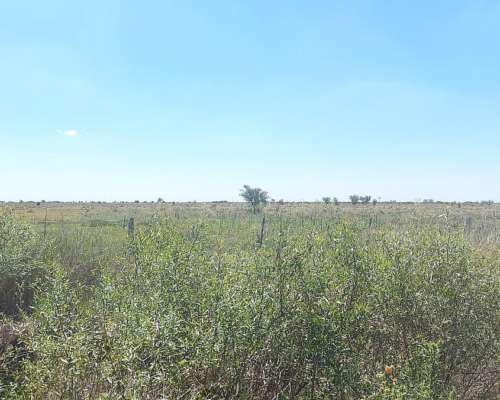 Se Venden 290 Ha a 5 km al SUR de la Feria Vieja de Capivar