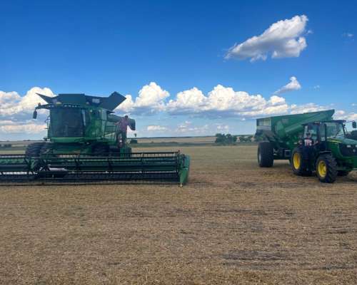Tolvero Zafral Changas por Tiempo de Levante de Cosechas