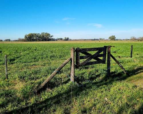 Mercedes, Buenos Aires - 35 Ha