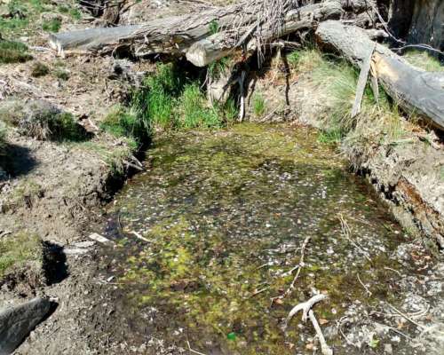 Vendo 18.800 Ha Rio Negro