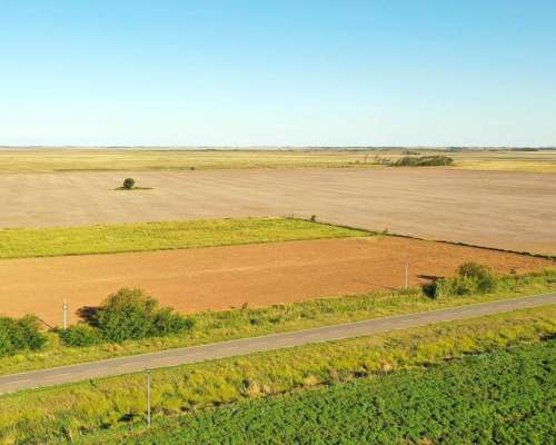Washington, Río Cuarto, Córdoba - 11 Ha