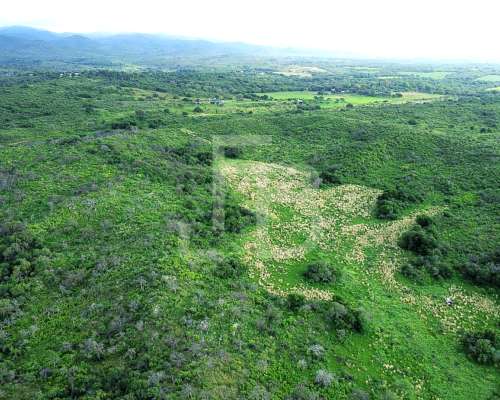 Venta Campo 12 HA, Falda del Carmen