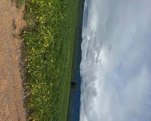 Salta: Campo Orilla Río Juramento