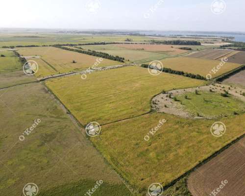 Campo en Venta 57 Has en Chascomús