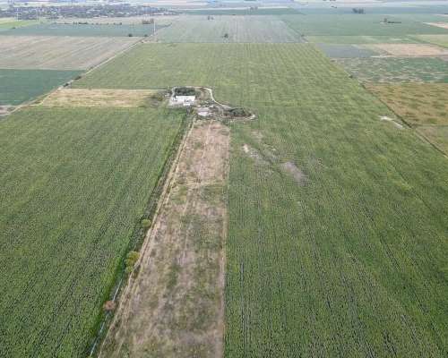 Vendo 1200 Has en Curupaity