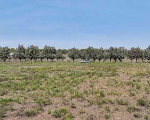 Pcia. de Buenos Aires - Pilar 18 Has