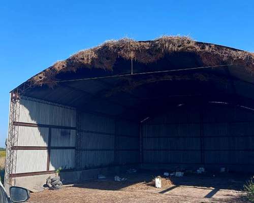 Vendo 3800 Has. Mixtas en el Norte de Santa FE.