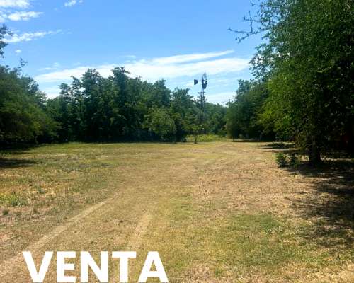 Se Vende Campo Agricola en Tulumba