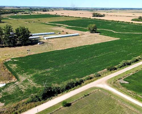 Vendo Campo 24 Has en Ruta 14 Concepción del Uruguay Entre R