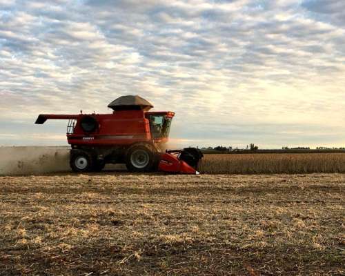 Cosechadora Case IH Axial Flow 2799. año 2015. C/plataformas