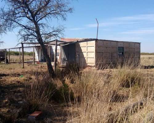 2600 Hectareas Entre Ceres y Selva, Mixto Alquilo Sisa