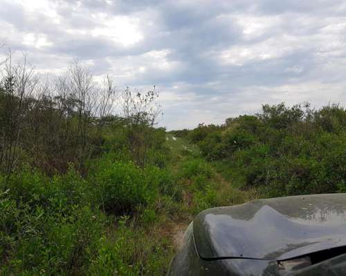 2900 Ha al SUR de Gancedo Ganadero para Venta