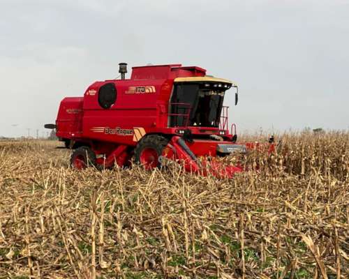 Don Roque RV170 Excelente Estado Biancucci Maquinarias