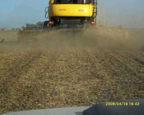 Esparcidor de Paja Syra