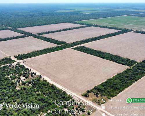 901 Has en Venta - Pcia del Chaco, Depto. Guemes