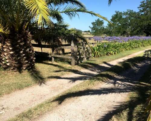 Campo la Plata, 8 HA. Destino Productivo/ Recreativo.