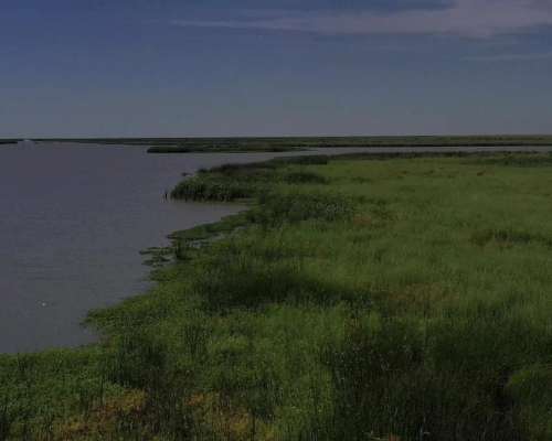 Gran Campo Ganadero 8000 Has Abundante Agua y Pasturas