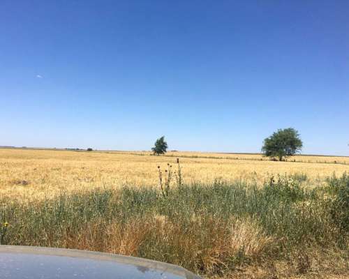 151 Ha Mixto Abramo la Pampa