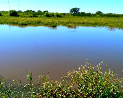 62 Hectáreas Mixtas . Sobre Ruta N463