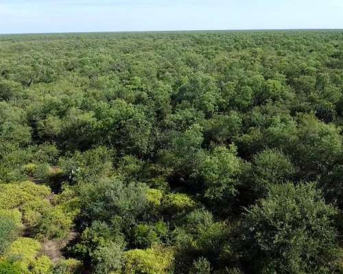 Muy Buen Campo de en el Bobadal