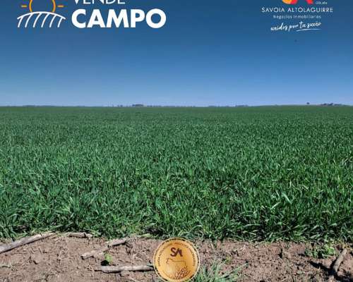 Campo Agrícola o Ganadero de 200 Ha en Alta Italia