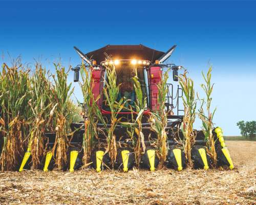 Cabezal Maicero Drago GT – Máxima Eficiencia, Mínimo Desperd