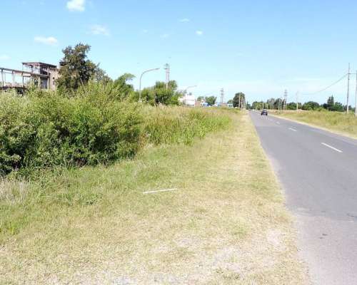 Baradero, Buenos Aires - 15 Ha