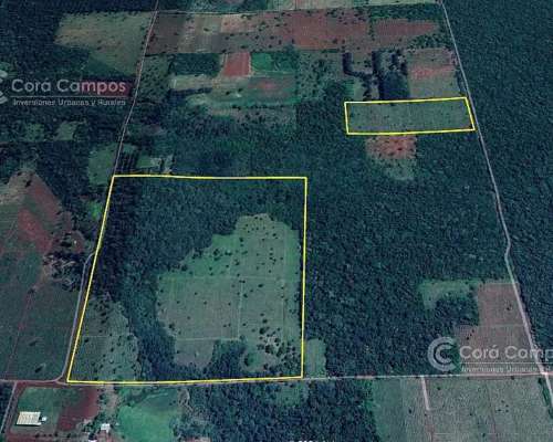 Se Vende Chacra con Yerba en Colonia Naranjito Misiones 31 H