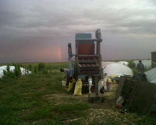 Vendo Máquina Clasificadora Indua 2006 Completa