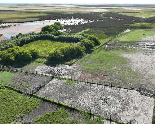 Paraje Pavón, General Lavalle, Buenos Aires - 4.784 Ha